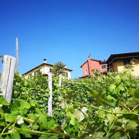 Classic Xl - Spazioso Per Famiglie Nelle Langhe Con Piscina * Vesime